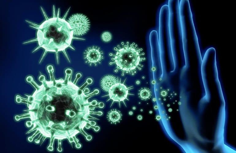Доклад: Общее значение иммунитета