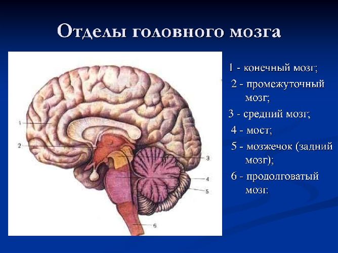 Абстрактное мышление