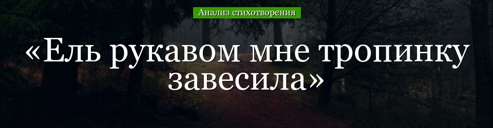 Анализ стихотворения «Ель рукавом мне тропинку завесила» Фета