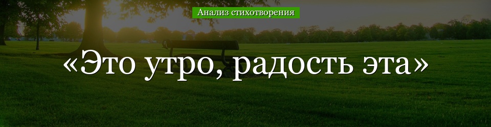 Анализ стихотворения «Это утро, радость эта» Фета