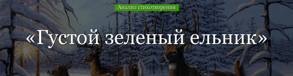 Анализ стихотворения «Густой зеленый ельник» Бунина