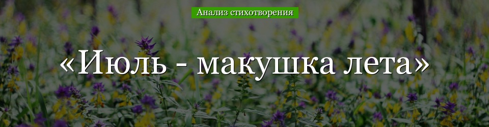 Анализ стихотворения «Июль – макушка лета» Твардовского