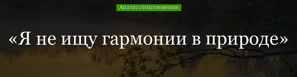 Анализ стихотворения «Я не ищу гармонии в природе» Заболоцкого