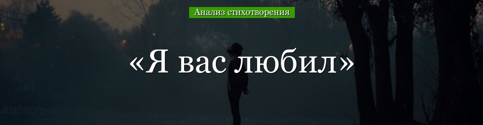 Анализ стихотворения «Я вас любил» Пушкина