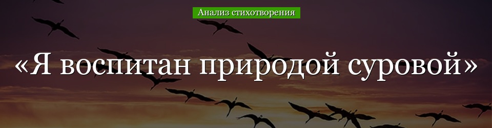 Анализ стихотворения «Я воспитан природой суровой» Заболоцкого