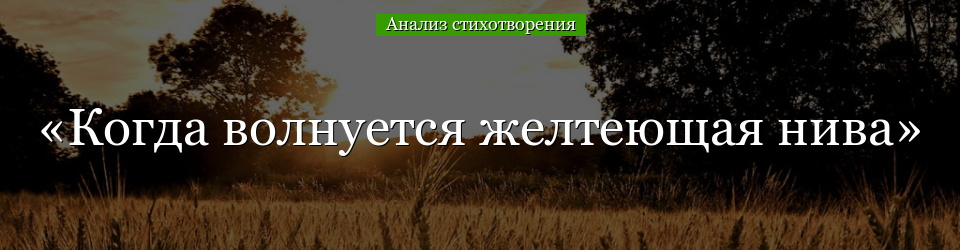 Анализ стихотворения «Когда волнуется желтеющая нива» Лермонтова