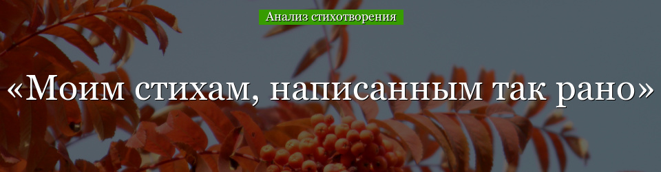 Анализ стихотворения «Моим стихам, написанным так рано» Цветаевой