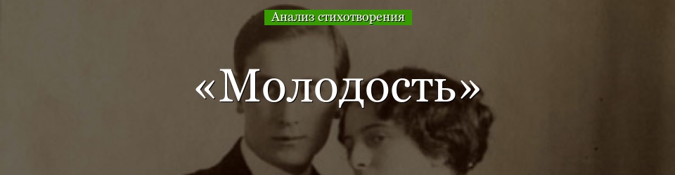 Анализ стихотворения «Молодость» Цветаевой