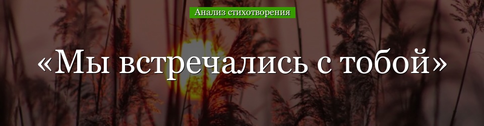 Анализ стихотворения «Мы встречались с тобой» Блока