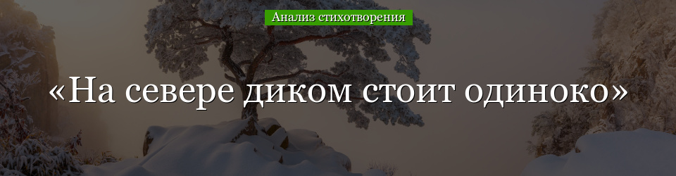 Анализ стихотворения «На севере диком стоит одиноко» Лермонтова