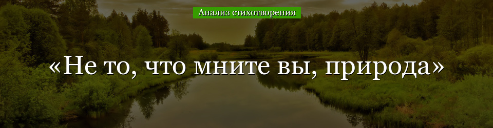 Анализ стихотворения «Не то, что мните вы, природа» Тютчева