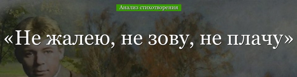 Анализ стихотворения «Не жалею, не зову, не плачу» Есенина