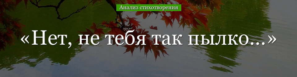 Анализ стихотворения «Нет, не тебя так пылко…» Лермонтова