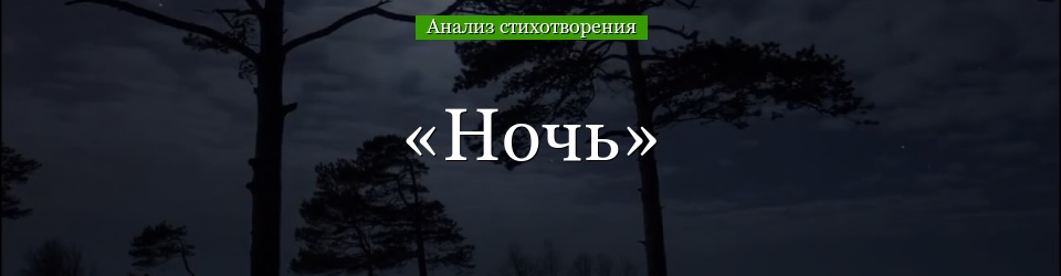 Анализ стихотворения «Ночь» Бунина