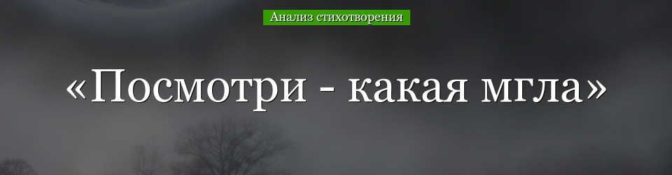 Анализ стихотворения «Посмотри – какая мгла» Полонского