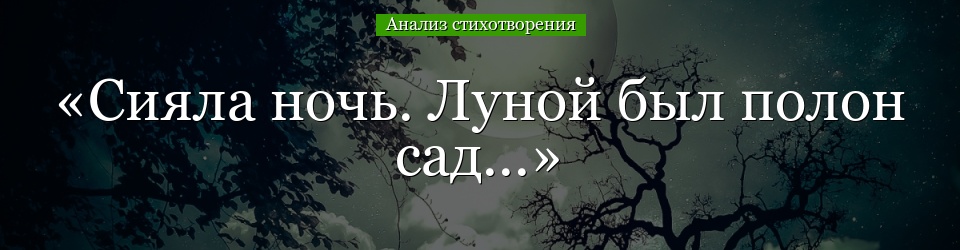 Анализ стихотворения «Сияла ночь. Луной был полон сад…» Фета