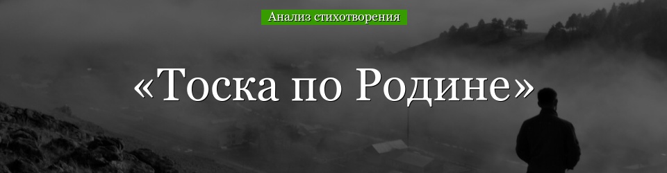 Анализ стихотворения «Тоска по Родине» Цветаевой