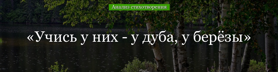 Анализ стихотворения «Учись у них – у дуба, у берёзы» Фета