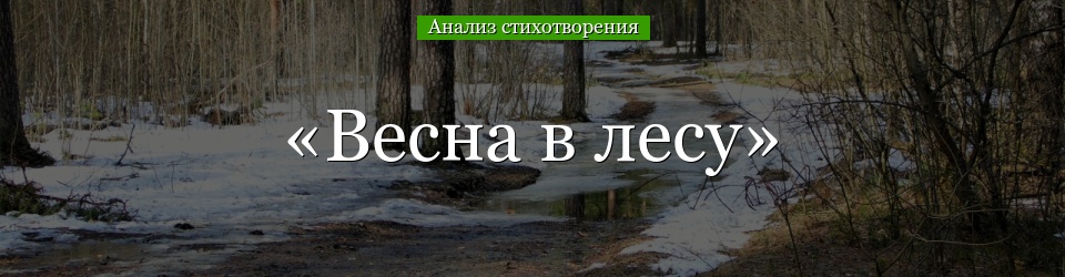 Анализ стихотворения «Весна в лесу» Пастернака