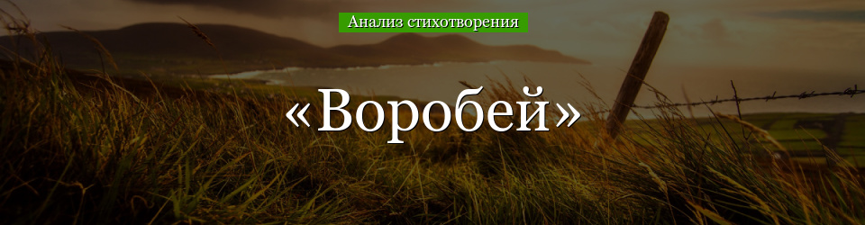 Анализ стихотворения «Воробей» Тургенева