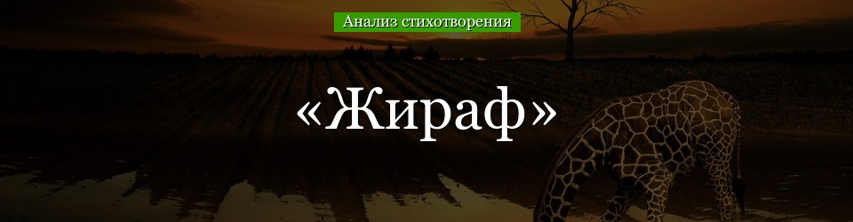 Анализ стихотворения «Жираф» Гумилёва