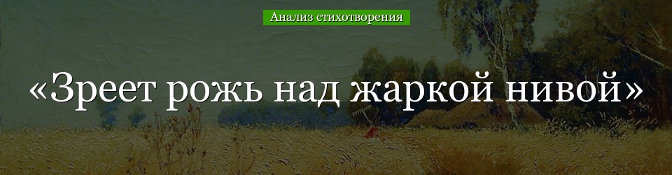 Анализ стихотворения «Зреет рожь над жаркой нивой» Фета