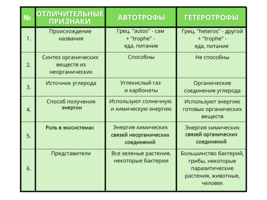 Ассимиляция и диссимиляция