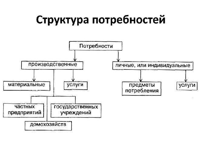 Биологические потребности человека