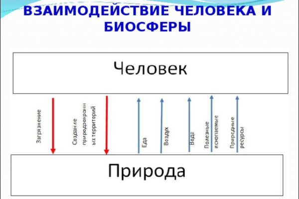 Биосфера и человек