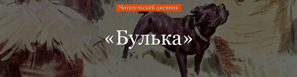 «Булька» читательский дневник