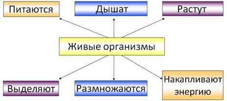 Царства живой природы