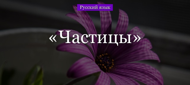 Частицы