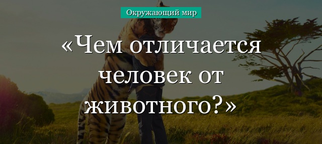 Чем отличается человек от животного?