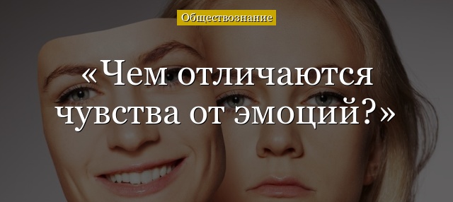 Чем отличаются чувства от эмоций?