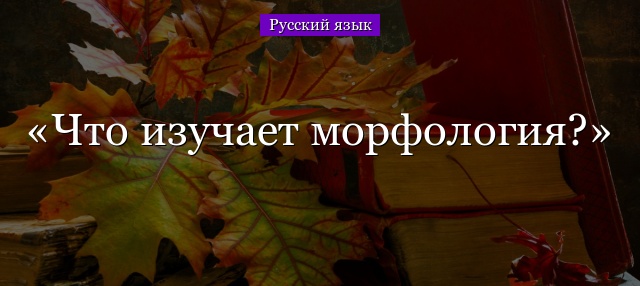 Что изучает морфология?