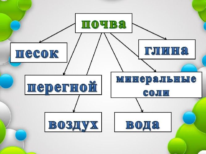 Что отличает почву от горной породы?