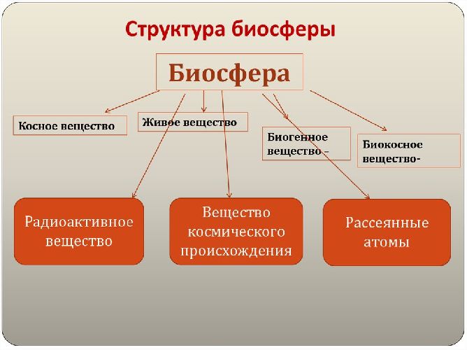 Что такое биосфера?