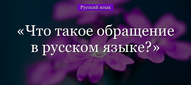 Что такое обращение в русском языке?