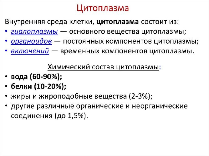 Цитоплазма живой клетки