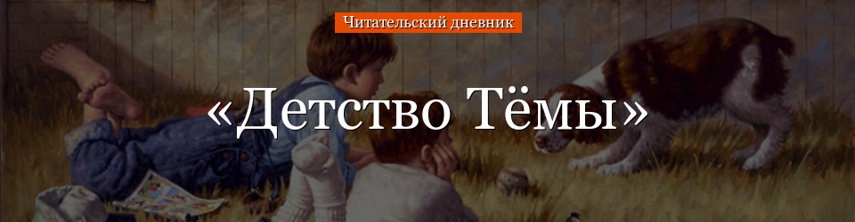 «Детство Тёмы» читательский дневник