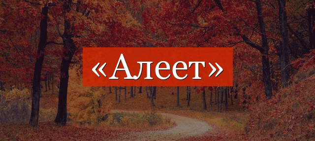 Фонетический разбор слова «алеет»