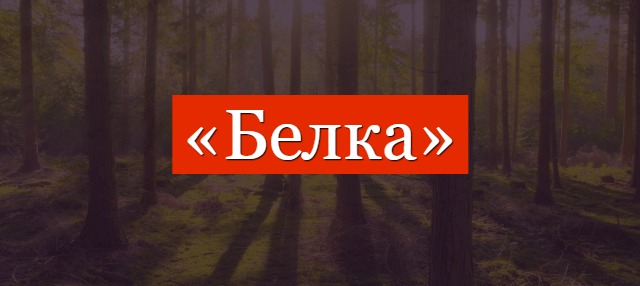 Фонетический разбор слова «белка»