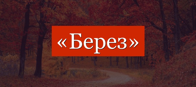 Фонетический разбор слова «берез»