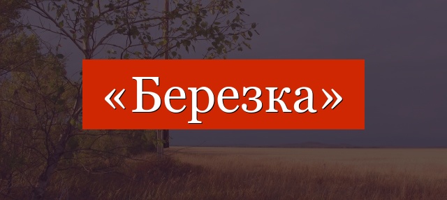 Фонетический разбор слова «березка»