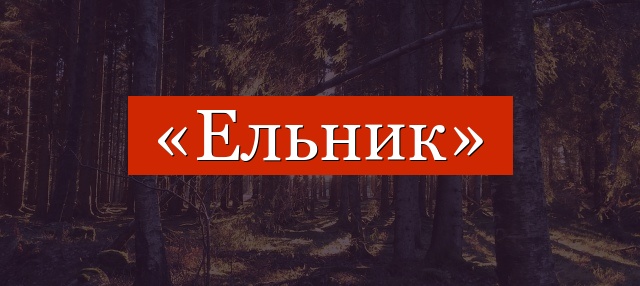 Фонетический разбор слова «ельник»