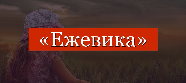 Фонетический разбор слова «ежевика»