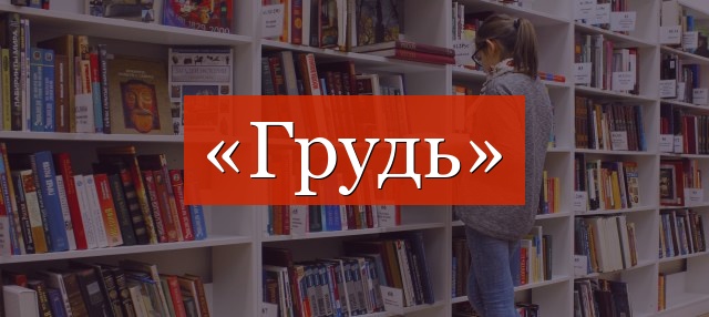 Фонетический разбор слова «грудь»