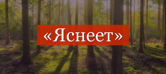 Фонетический разбор слова «яснеет»