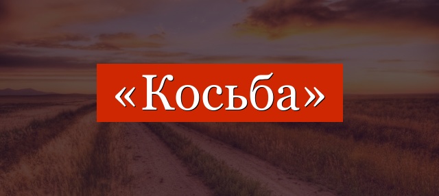 Фонетический разбор слова «косьба»