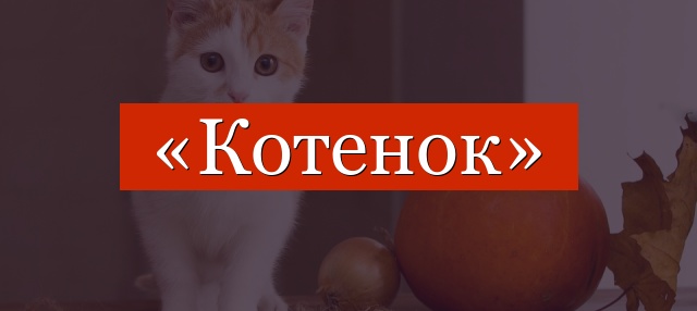 Фонетический разбор слова «котенок»